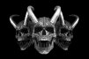 Skull Darck
