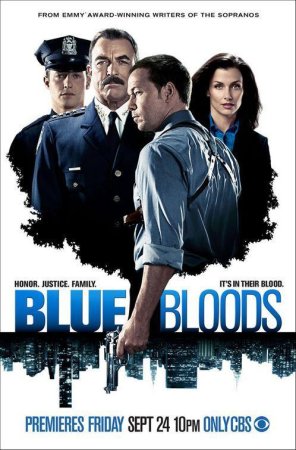 Blue Bloods T11 T12 T13 T14