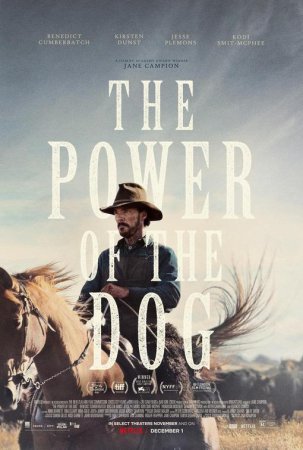El poder del perro BDrip XviD Castellano