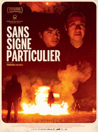 Sin señas particulares BDrip MP4 Castellano