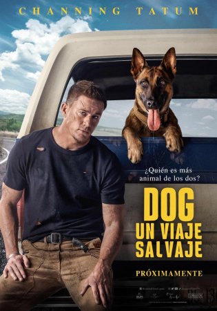 Dog HDrip AUDIO CRUZADO spam MP4 Castellano