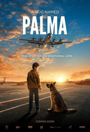 Palma BDrip MP4 Castellano