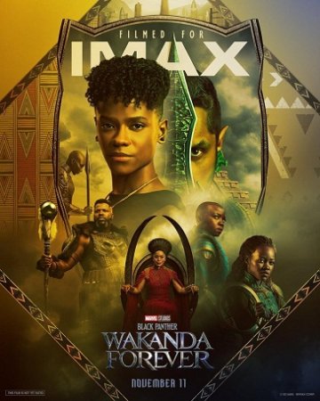 ( GANADORA DEL OSCAR 2023 ) Black Panther Wakanda Forever IMAX BDrip XviD Castellano