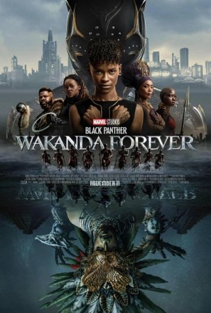 ( GANADORA DEL OSCAR 2023 ) Black Panther Wakanda Forever BDrip XviD Castellano