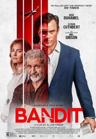 El atracador perfecto BDrip XviD Castellano
