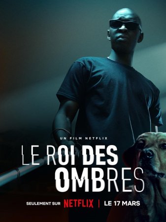 El rey de las sombras BDrip XviD Castellano