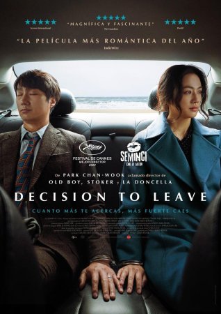 Decision to Leave (Heojil kyolshim) BDrip XviD Castellano