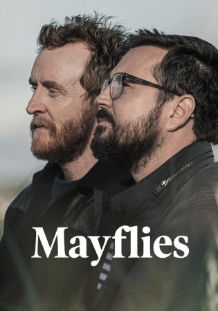 Mayflies T1