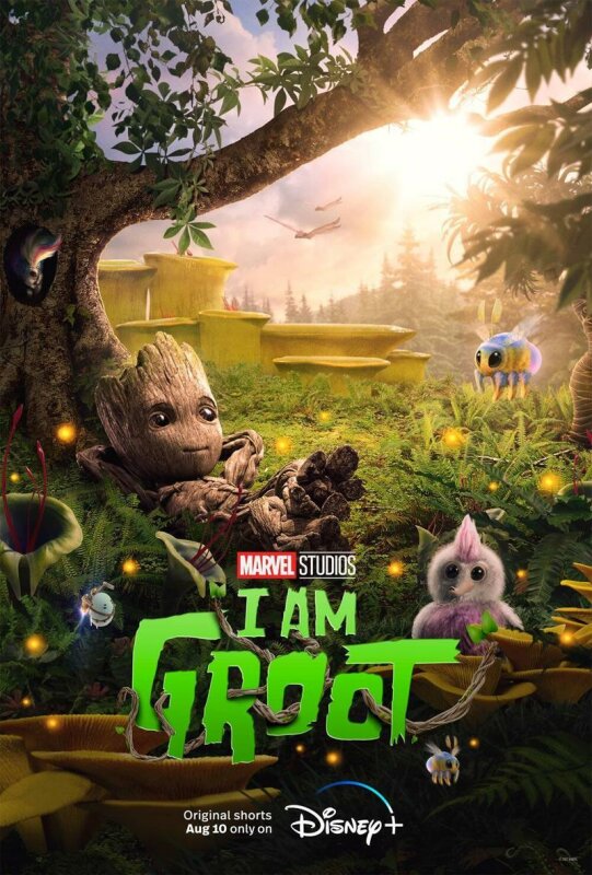 Yo Soy Groot T1 T2