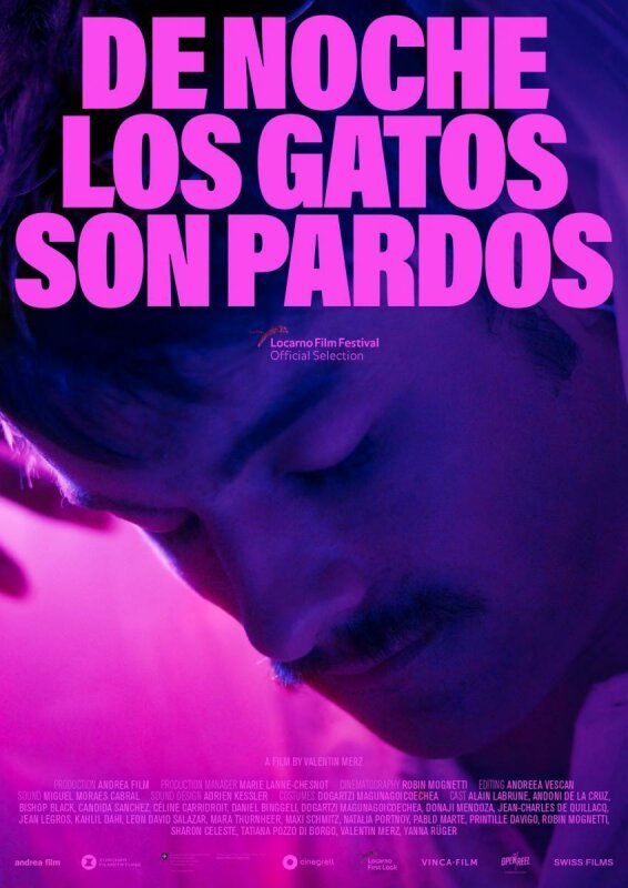 De noche los gatos son pardos BDrip XviD Castellano
