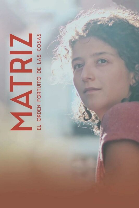 Matriz T1