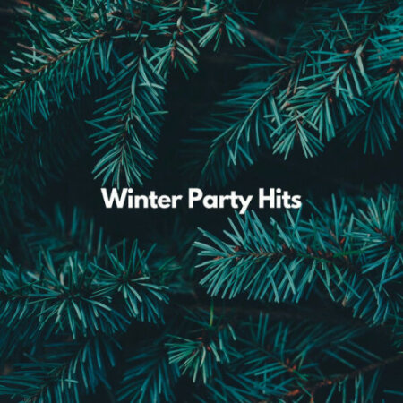 Various Artists - Winter Party Hits (2023) Mp3 320kbps