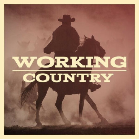Various Artists - Working Country Mp3 320kbps