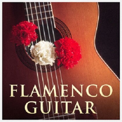 Guitarra Flamenca Clasica Española Mp3 320Kbps