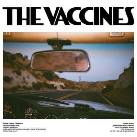 The Vaccines - Pick-Up Full Of Pink Carnations (2024) Mp3 320kbps