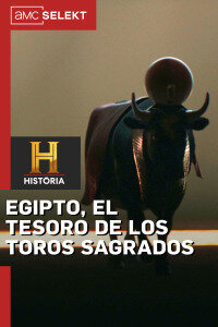 Egipto, el tesoro de los toros sagrados HDTV XviD Castellano