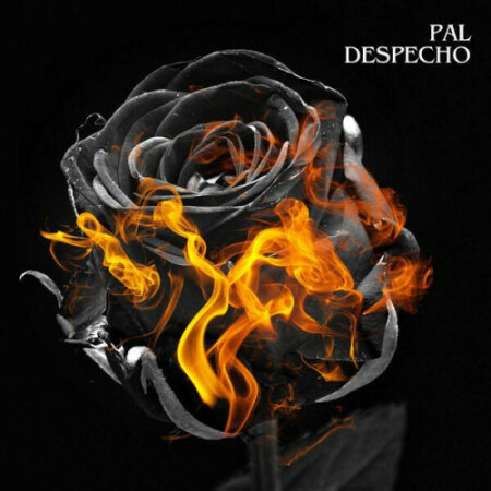 Various Artists - Pal Despecho (2024) Mp3 320kbps