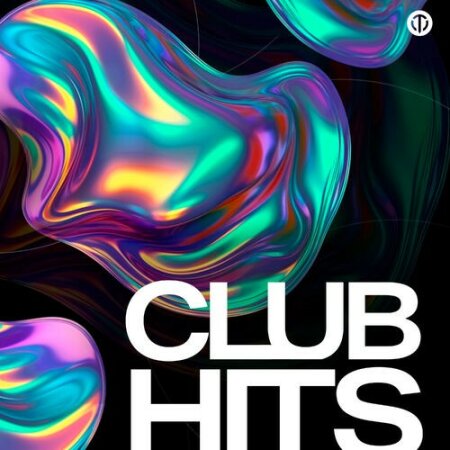 Various Artists - CLUB HITS _ Dance Music (2024) Mp3 320kbps