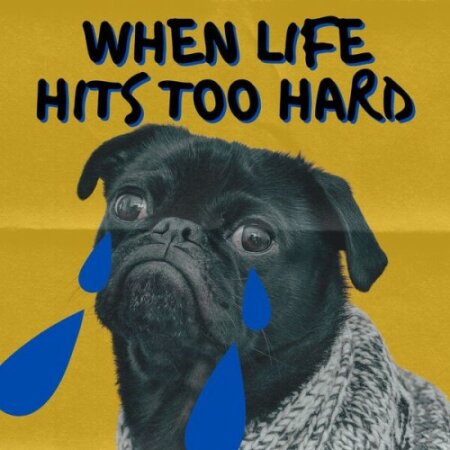 Various Artists - When Life Hits Too Hard (2024) Mp3 320kbps