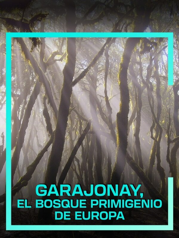 Garajonay el bosque primigenio de Europa HDTV XviD Castellano