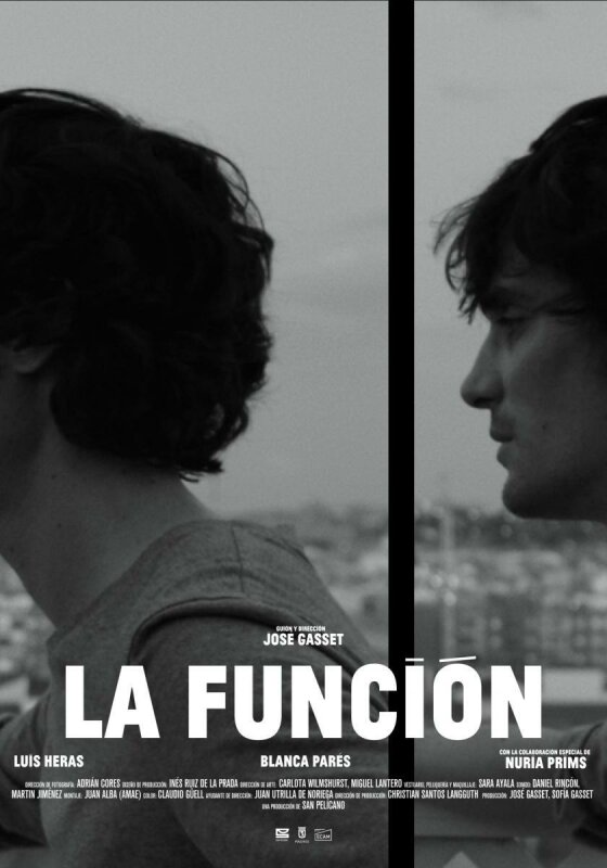 La función BDrip XviD Castellano