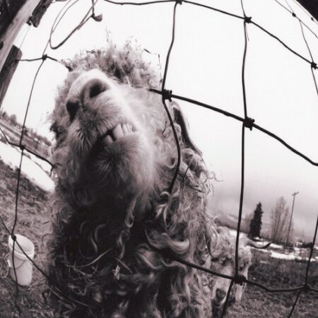 Pearl Jam - Vs. (2011 Expanded Edition) Mp3 320kbps