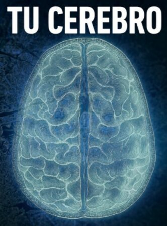 Tu cerebro: La percepción T1