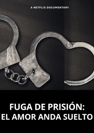 Fuga de prisión: El amor anda suelto BDrip XviD Castellano