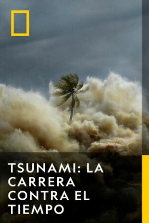 Tsunami: Carrera contra el tiempo T1