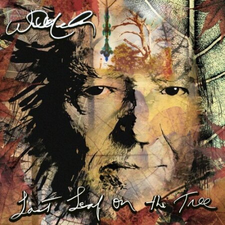 Willie Nelson - Last Leaf On The Tree (2024) Mp3 320kbps