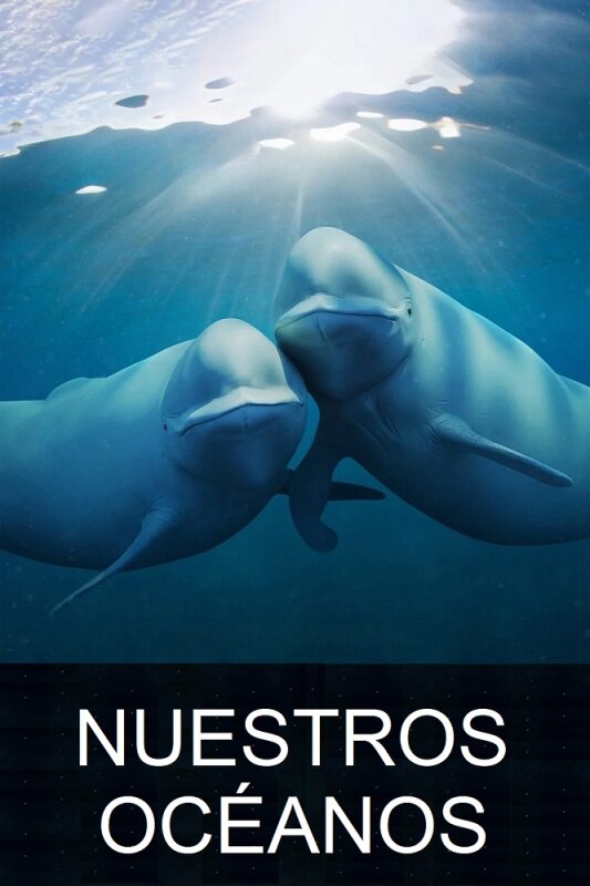 Nuestros océanos T1