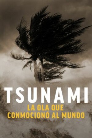 Tsunami: la ola que conmocionó al mundo T1