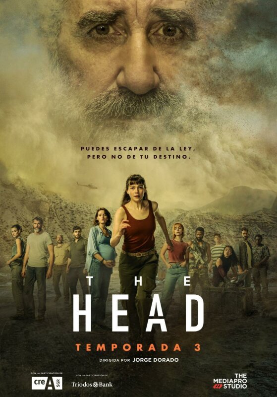 The Head T1 T2 T3