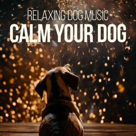 Various Artists - Relaxing Dog Music – Calm your Dog (2024) Mp3 320kbps