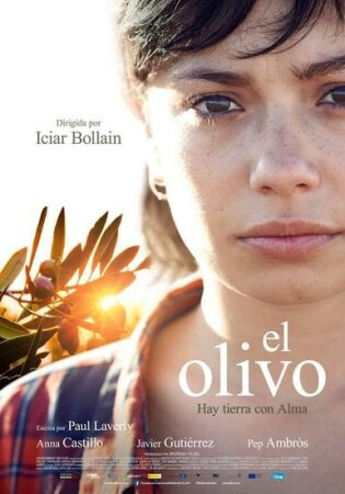 El olivo (2016 Drama) DVDrip XviD Castellano