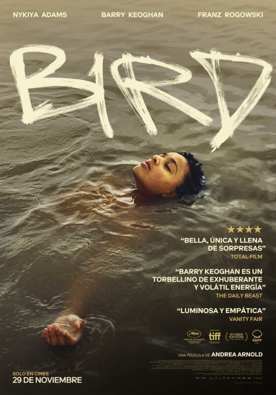 Bird BDrip XviD Castellano
