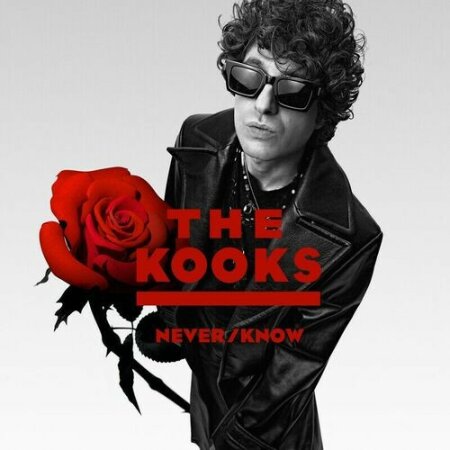 The Kooks - Never_Know (2025) Mp3 320kbps