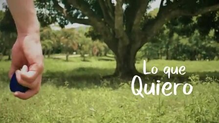 Lo que quiero BDrip MP4 Castellano