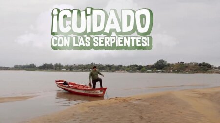 CUIDADO CON LAS SERPIENTES BDrip MP4 Castellano