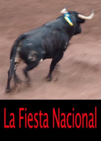 La fiesta nacional BDrip MP4 Castellano