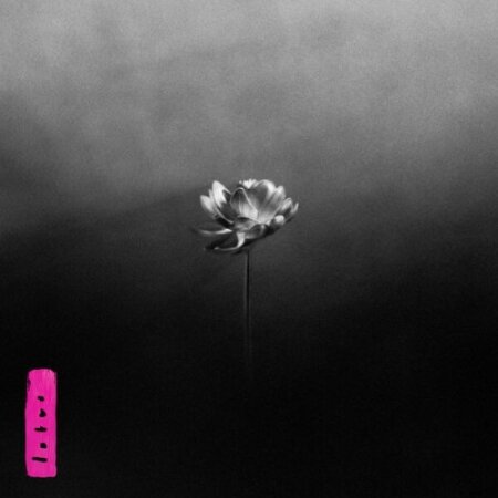 Little Simz - Lotus (2025) Mp3 320kbps