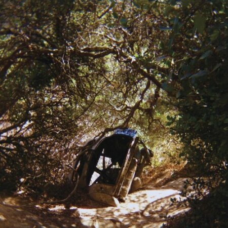 Ty Segall - Possession (2025) Mp3 320kbps