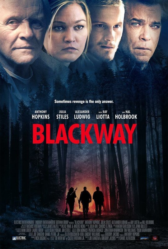 Blackway (2017).BDrip m1080p.