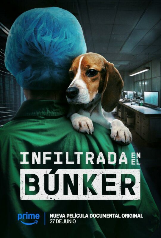 La Infiltrada (Undercover. Inside the bunker) BDrip XviD Castellano