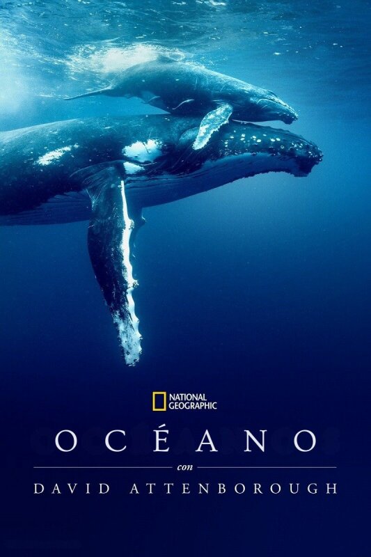 Océano con David Attenborough BDrip XviD Castellano