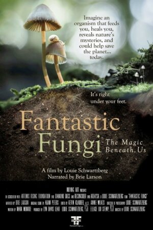El mágico mundo de los hongos (Fantastic Fungi) 2019 ESP-ENG