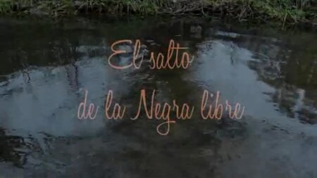 El salto de la Negra libre BDrip Mp4 Español