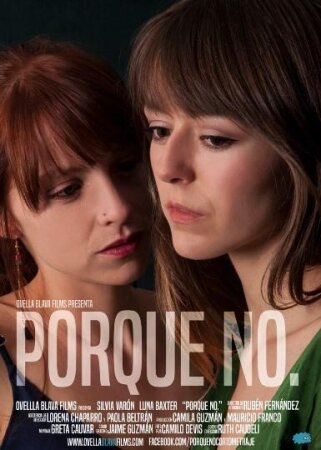 Porque no BDrip MP4 Castellano