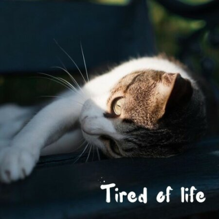 Various Artists - tired of life (2025) Mp3 320kbps