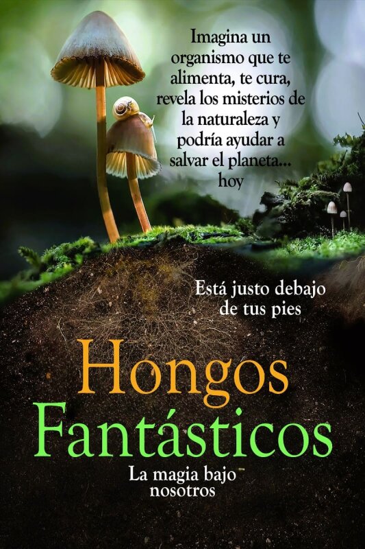 El mágico mundo de los hongos (Fantastic Fungi) 2019 ESP-ENG